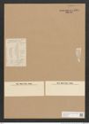 Diatomeae indet. (de-Toni-Nr.: Species 1438 ?) Zeichnungen Sammlung Grunow Nr. 2854 (NHMW-BOT-W0370180)